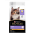 Purina Pro Plan 1.5KG Kitten, Chicken Formula 幼貓配方 (12433198) (EXP: 9月/2027)